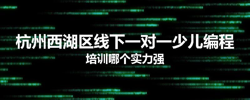 杭州西湖区线下一对一少儿编程培训哪个实力强