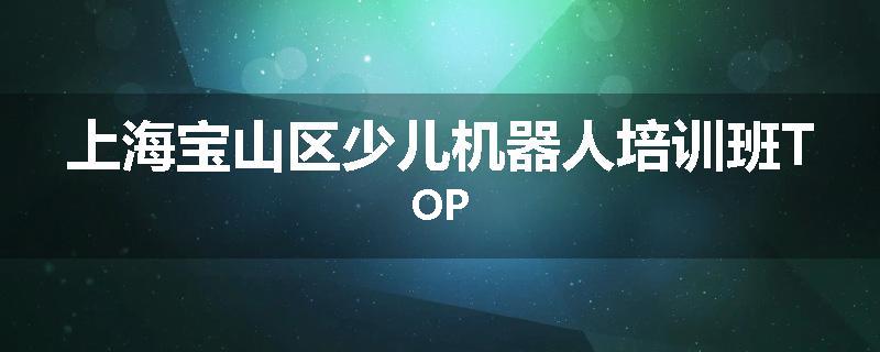 上海宝山区少儿机器人培训班TOP