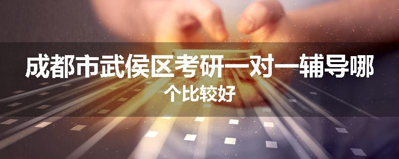成都市武侯区考研一对一辅导哪个比较好