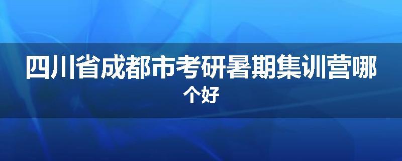 四川省成都市考研暑期集训营哪个好