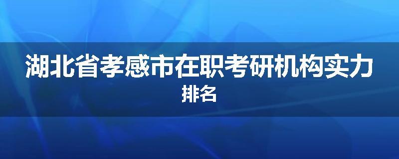 湖北省孝感市在职考研机构实力排名