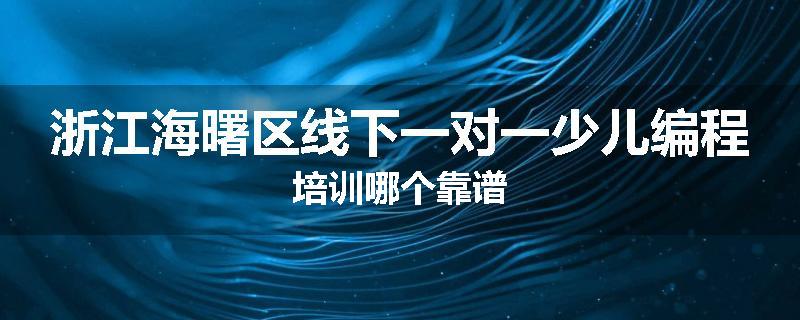 浙江海曙区线下一对一少儿编程培训哪个靠谱