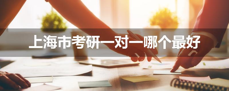 上海市考研一对一哪个最好