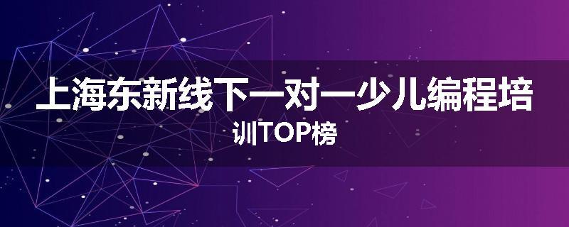 上海东新线下一对一少儿编程培训TOP榜