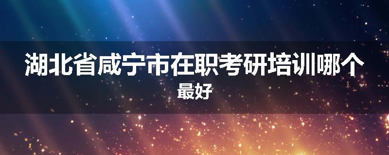 湖北省咸宁市在职考研培训哪个最好