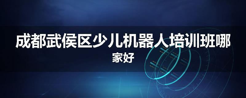 成都武侯区少儿机器人培训班哪家好