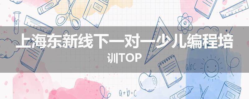 上海东新线下一对一少儿编程培训TOP