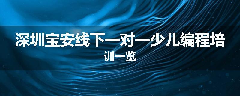 深圳宝安线下一对一少儿编程培训一览