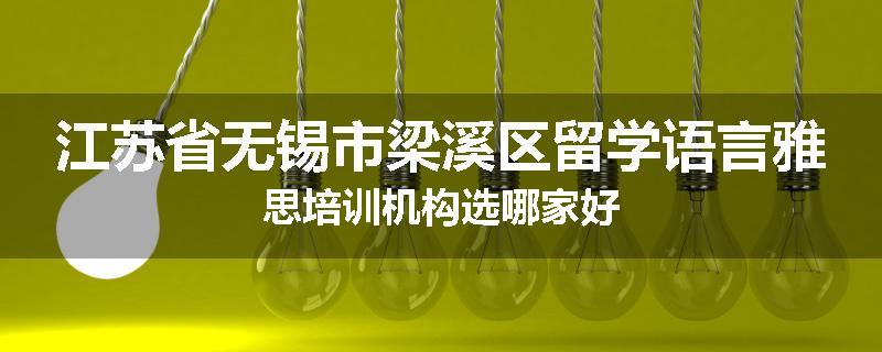江苏省无锡市梁溪区留学语言雅思培训机构选哪家好