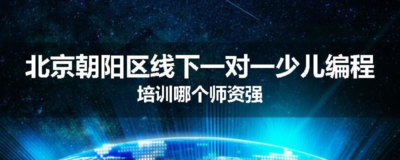 北京朝阳区线下一对一少儿编程培训哪个师资强