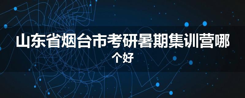 山东省烟台市考研暑期集训营哪个好