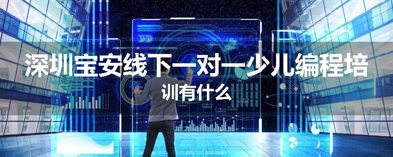 深圳宝安线下一对一少儿编程培训有什么