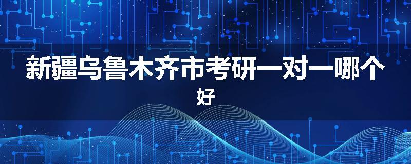 新疆乌鲁木齐市考研一对一哪个好