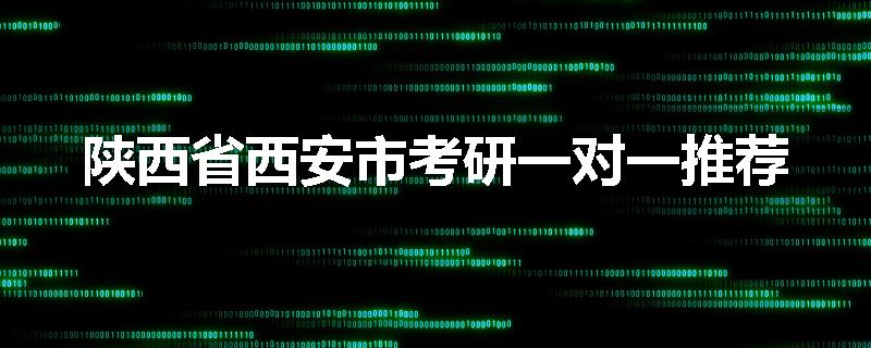 陕西省西安市考研一对一推荐
