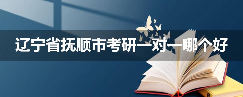 辽宁省抚顺市考研一对一哪个好
