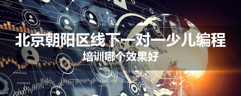 北京朝阳区线下一对一少儿编程培训哪个效果好