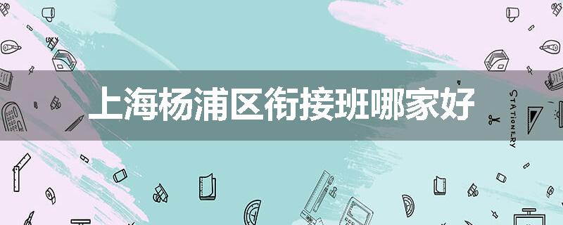 上海杨浦区衔接班哪家好