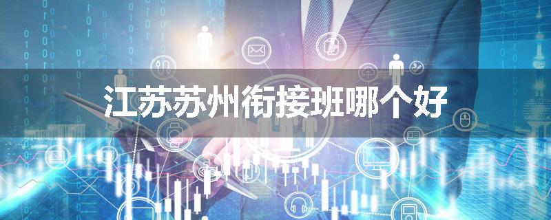 江苏苏州衔接班哪个好