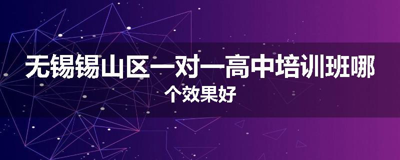 无锡锡山区一对一高中培训班哪个效果好