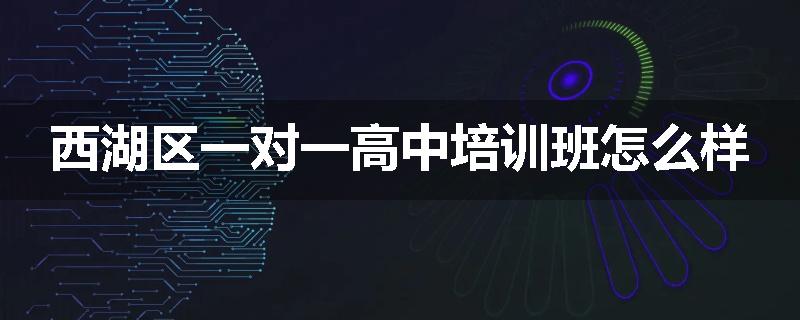 西湖区一对一高中培训班怎么样