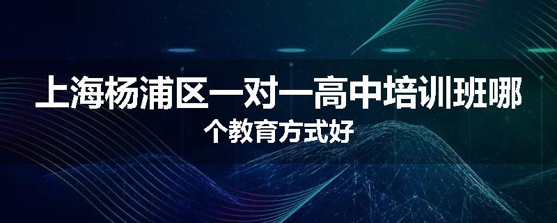 上海杨浦区一对一高中培训班哪个教育方式好