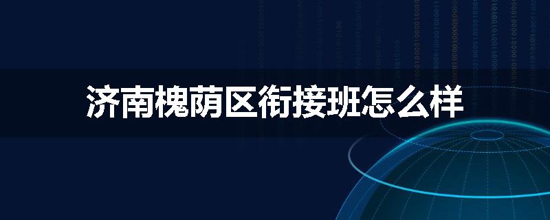 济南槐荫区衔接班怎么样