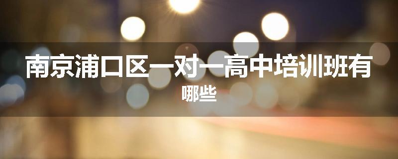 南京浦口区一对一高中培训班有哪些