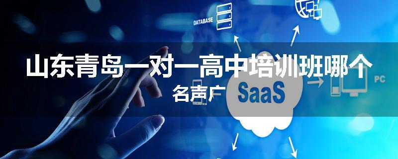 山东青岛一对一高中培训班哪个名声广