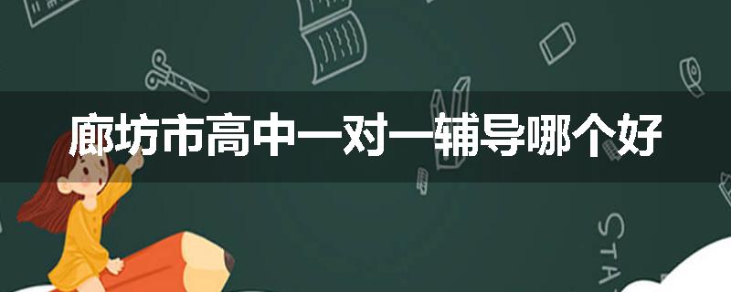 廊坊市高中一对一辅导哪个好