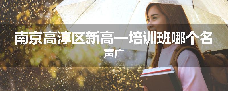 南京高淳区新高一培训班哪个名声广