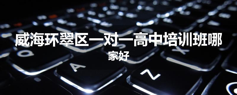 威海环翠区一对一高中培训班哪家好