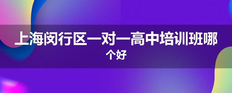 上海闵行区一对一高中培训班哪个好