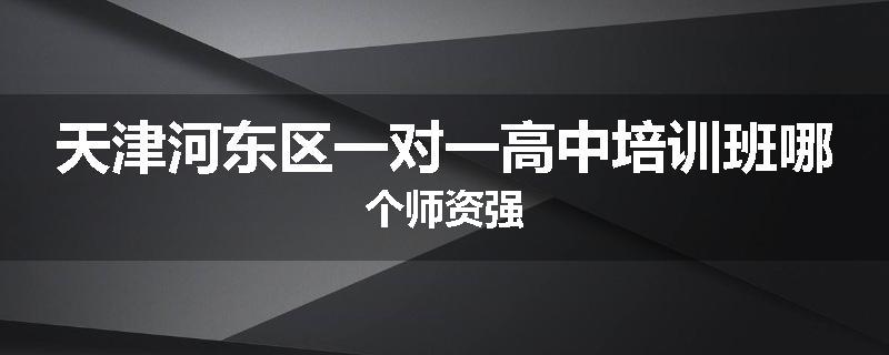 天津河东区一对一高中培训班哪个师资强