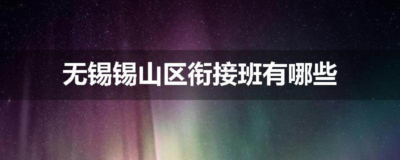 无锡锡山区衔接班有哪些