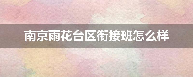南京雨花台区衔接班怎么样