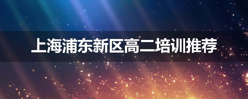 上海浦东新区高二培训推荐