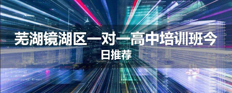 芜湖镜湖区一对一高中培训班今日推荐