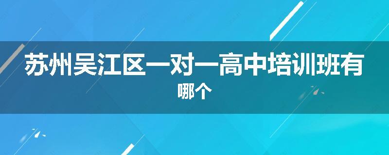 苏州吴江区一对一高中培训班有哪个