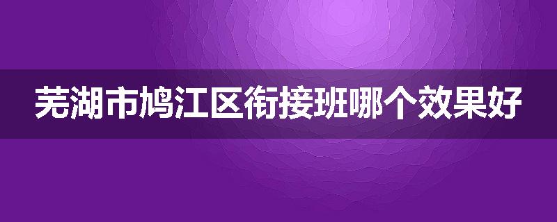 芜湖市鸠江区衔接班哪个效果好
