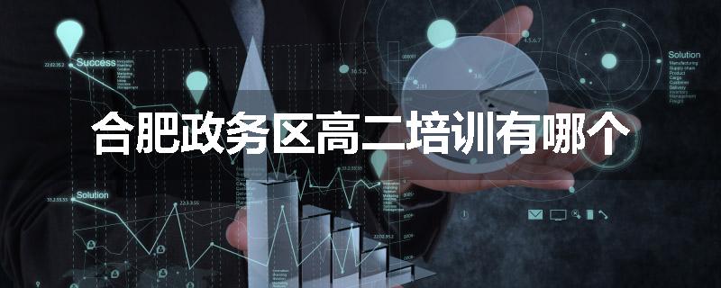 合肥政务区高二培训有哪个