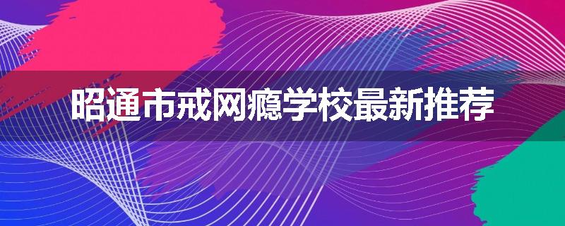 昭通市戒网瘾学校最新推荐