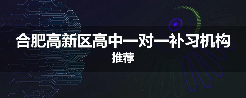 合肥高新区高中一对一补习机构推荐