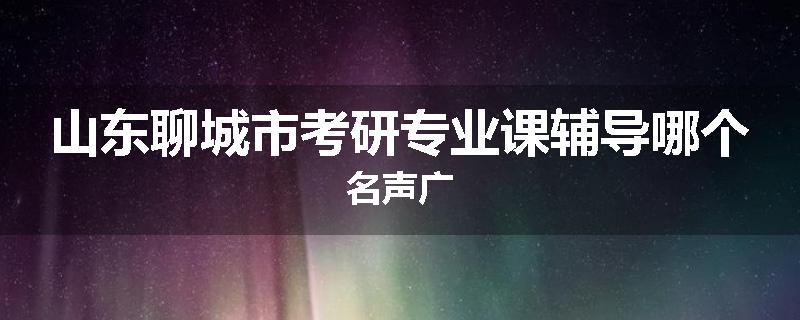 山东聊城市考研专业课辅导哪个名声广