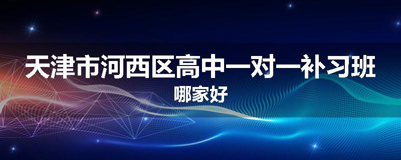 天津市河西区高中一对一补习班哪家好