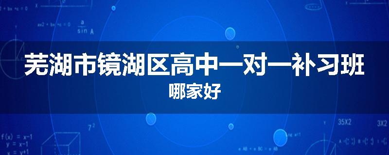 芜湖市镜湖区高中一对一补习班哪家好