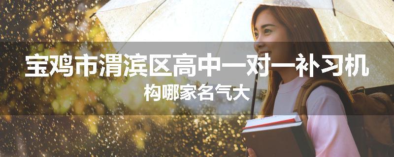 宝鸡市渭滨区高中一对一补习机构哪家名气大