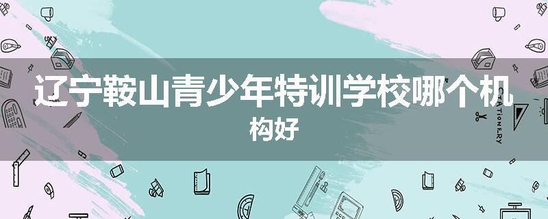 辽宁鞍山青少年特训学校哪个机构好