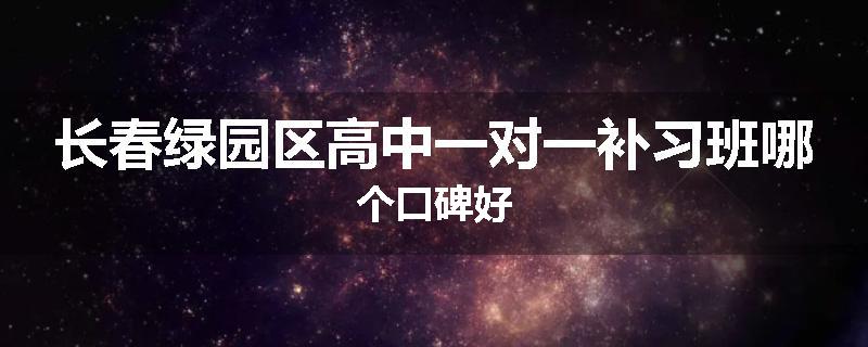长春绿园区高中一对一补习班哪个口碑好