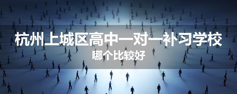 杭州上城区高中一对一补习学校哪个比较好