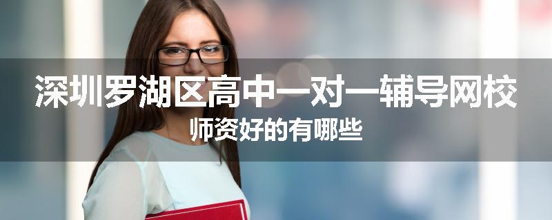 深圳罗湖区高中一对一辅导网校师资好的有哪些